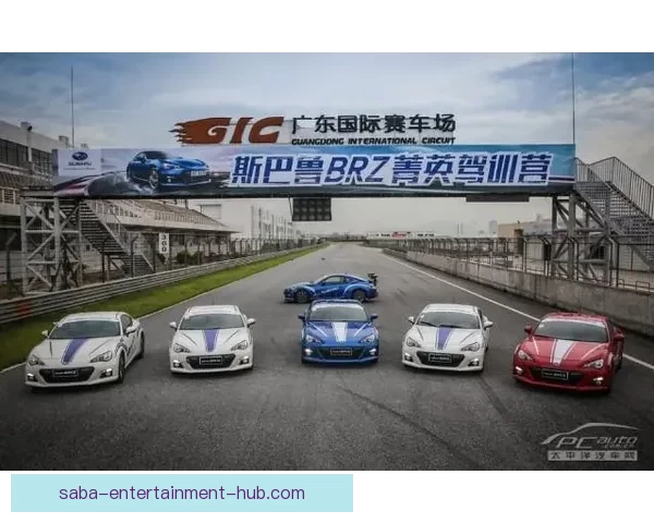 燃动全场竞技激情，尽享体育竞猜胜负策略乐趣